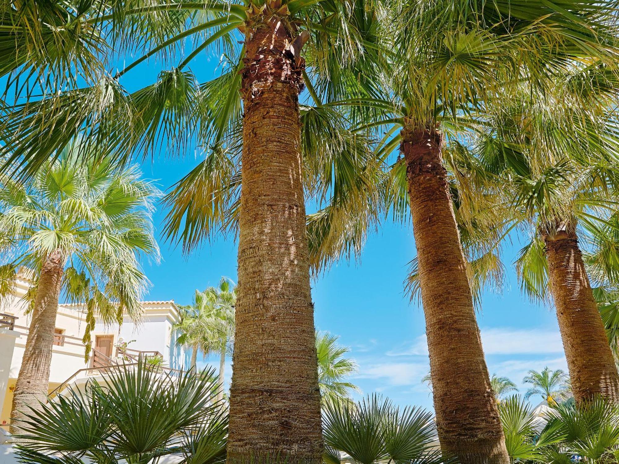 Grecotel Marine Palace & Aqua Park Rethymno Exterior foto